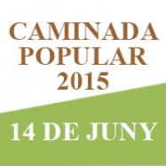 Caminada Popular 2015, Viladrau