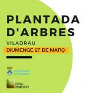 Viladrau Plantada d'Arbres 2022