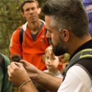 Viladrau Castanyes, castanyers i tardor: un moment únic al Montseny