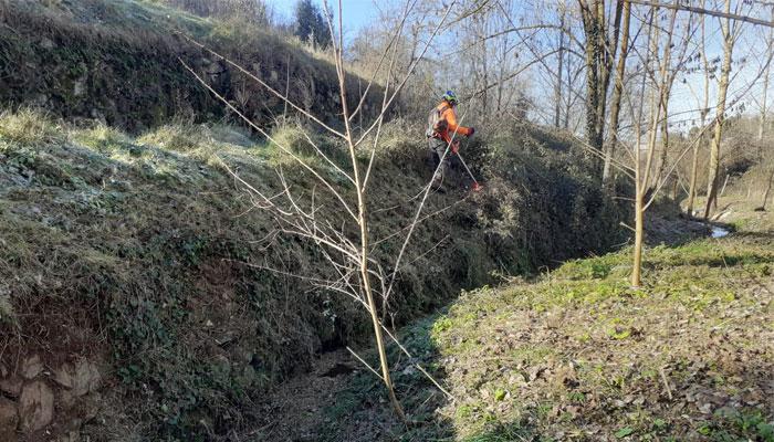 Projecte de conservació i millora del Torrent de Viladrau