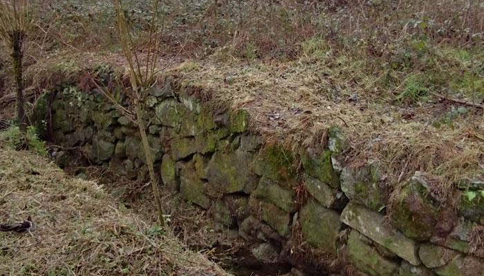 Projecte de conservació i millora del Torrent de Viladrau