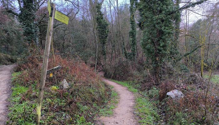 Projecte de conservació i millora del Torrent de Viladrau