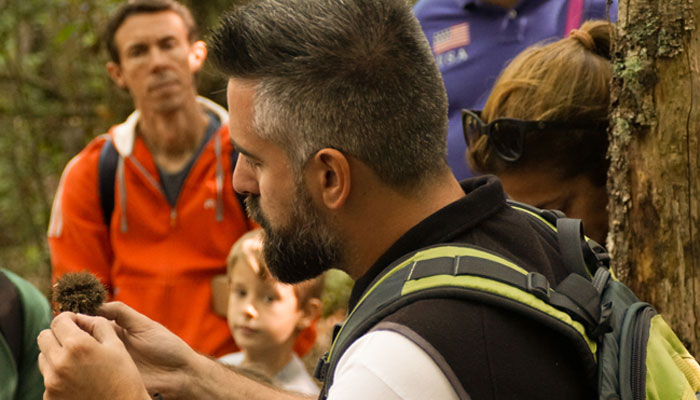 Viladrau Castanyes, castanyers i tardor: un moment únic al Montseny